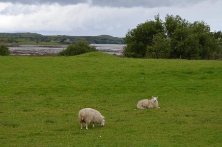 The Quest for Meaningful Work in Rural Living Image